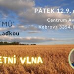 Růžový Hnědý Jednoduchý Fotka Moderní Životopis – 13